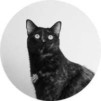 Cleo